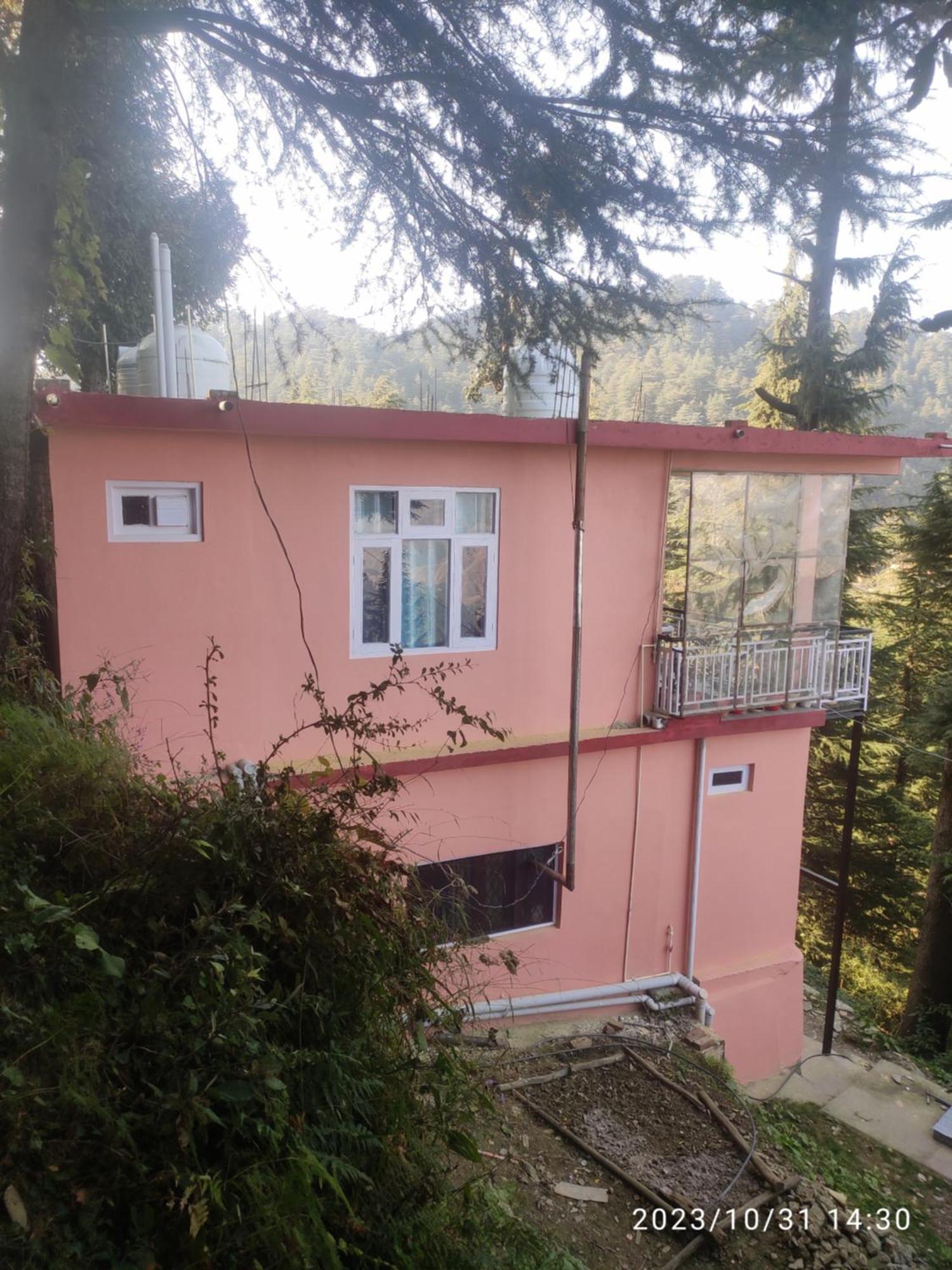 Tree Valley Homestay Chail Eksteriør bilde