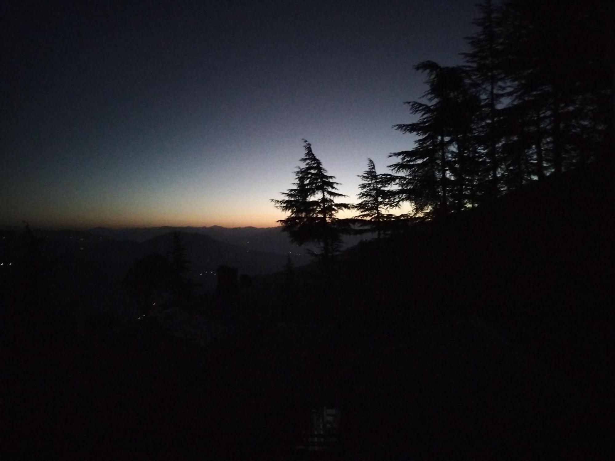 Tree Valley Homestay Chail Eksteriør bilde