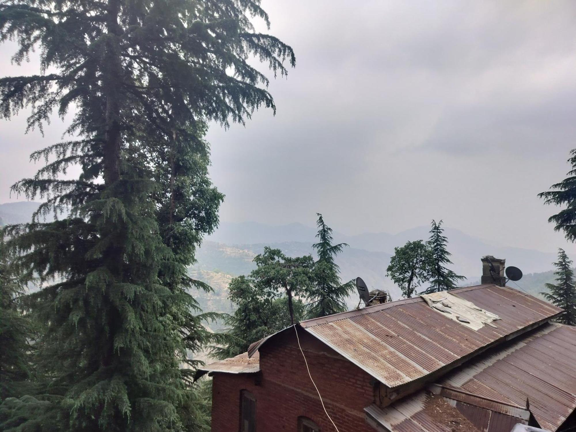 Tree Valley Homestay Chail Eksteriør bilde