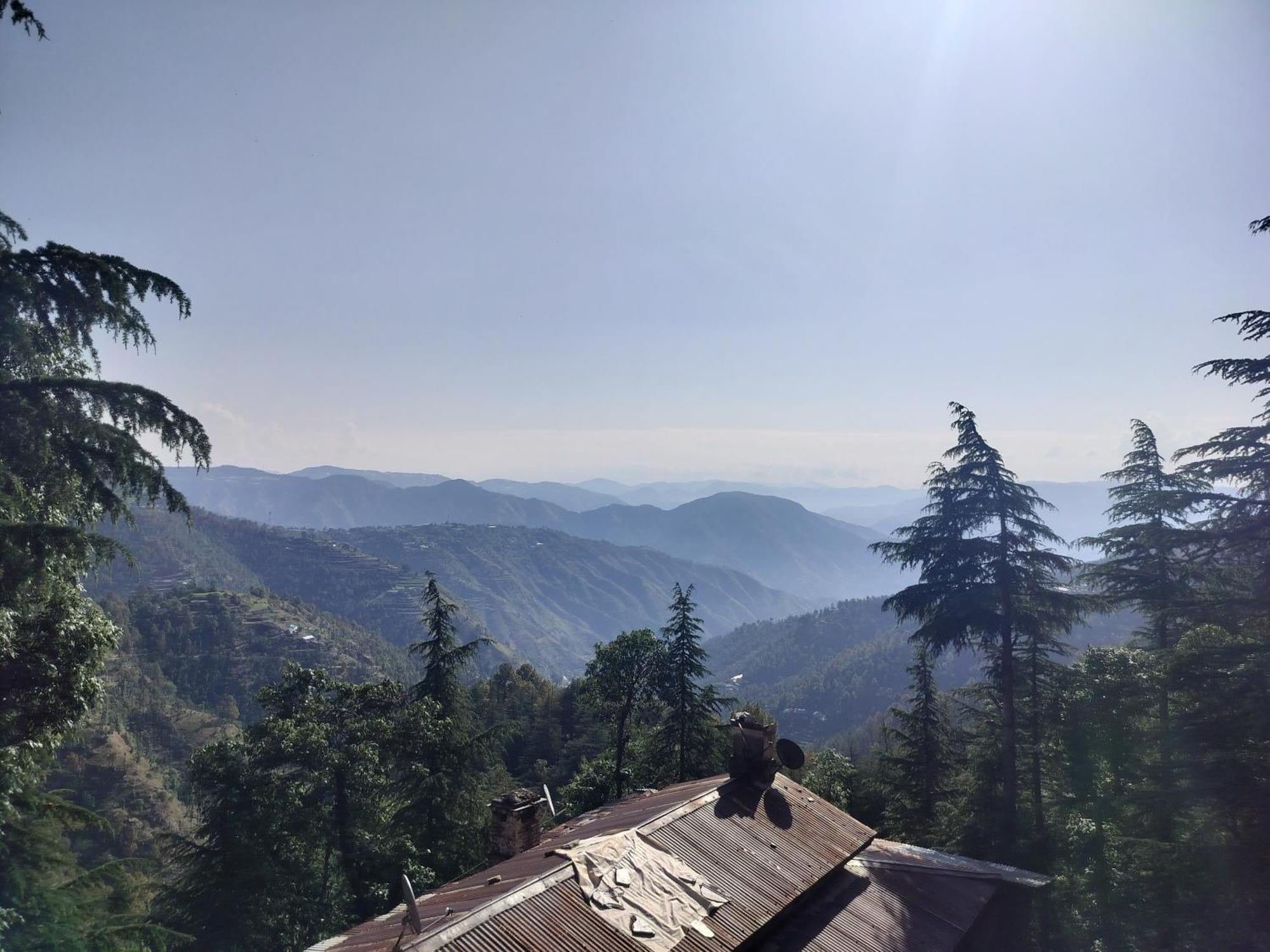 Tree Valley Homestay Chail Eksteriør bilde