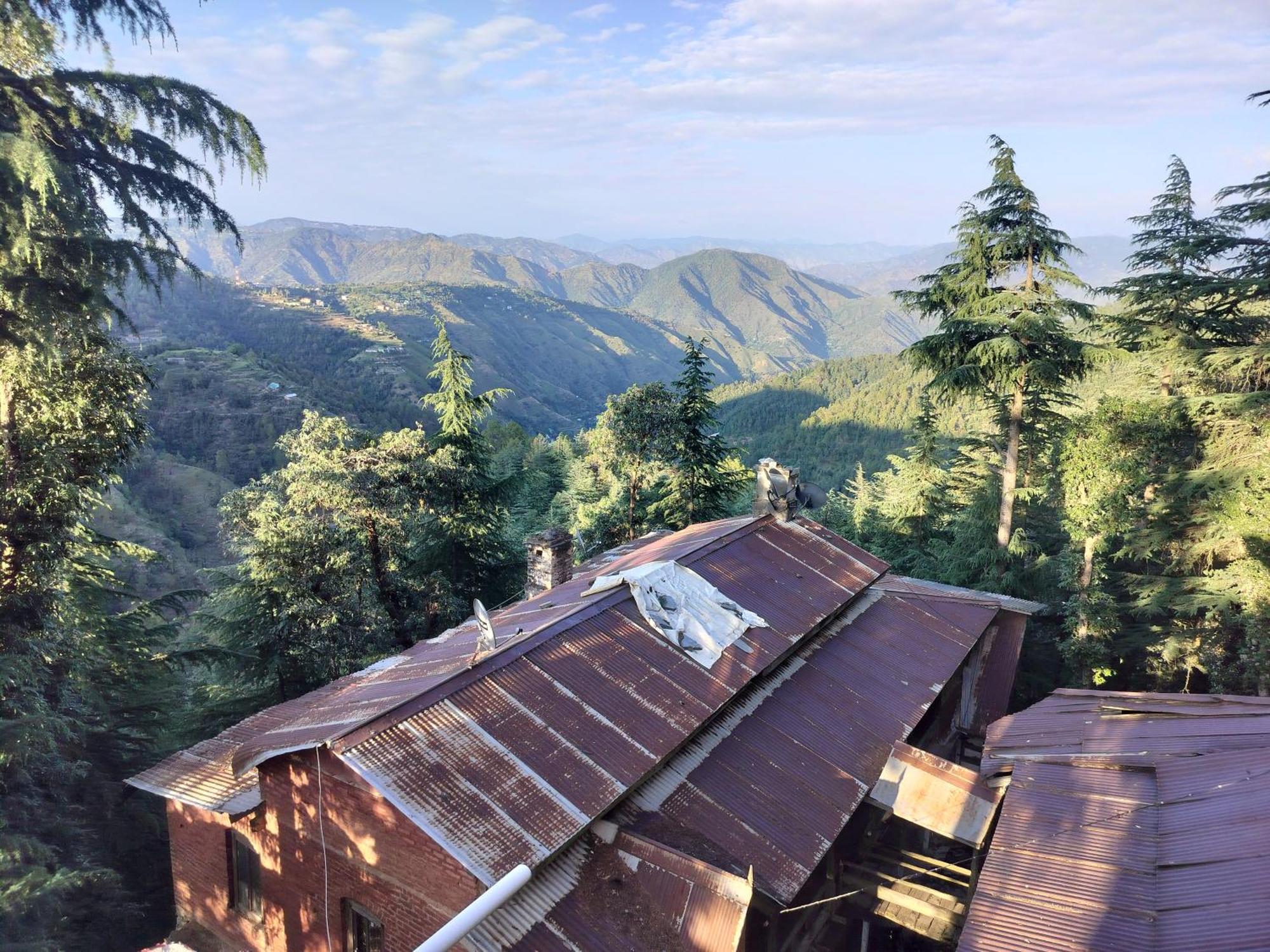 Tree Valley Homestay Chail Eksteriør bilde