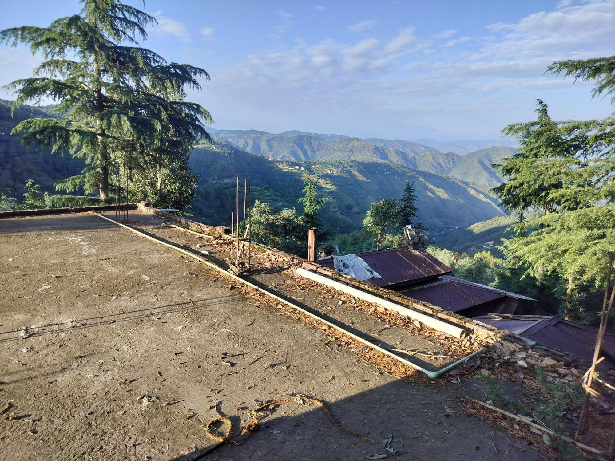 Tree Valley Homestay Chail Eksteriør bilde