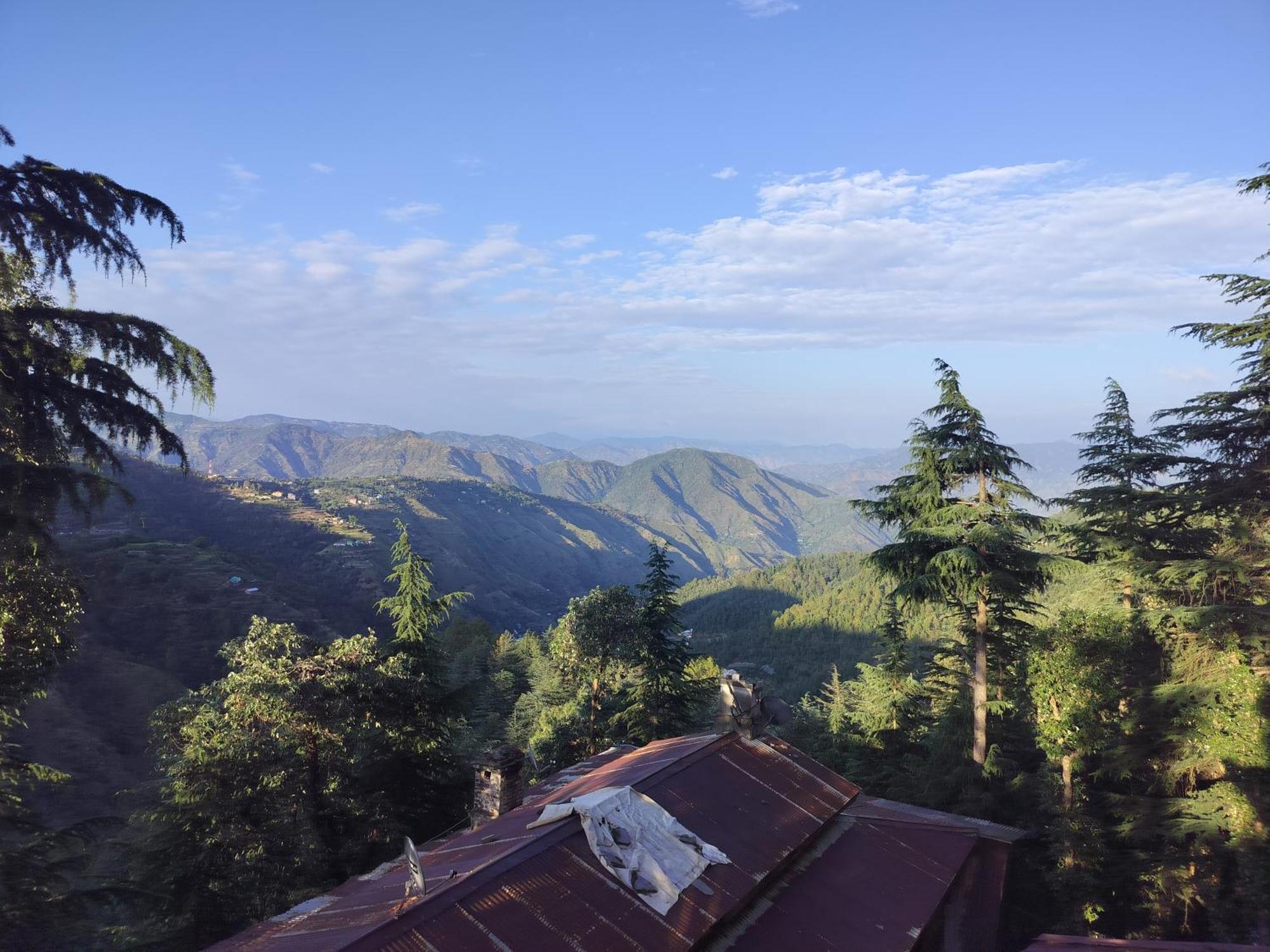 Tree Valley Homestay Chail Eksteriør bilde