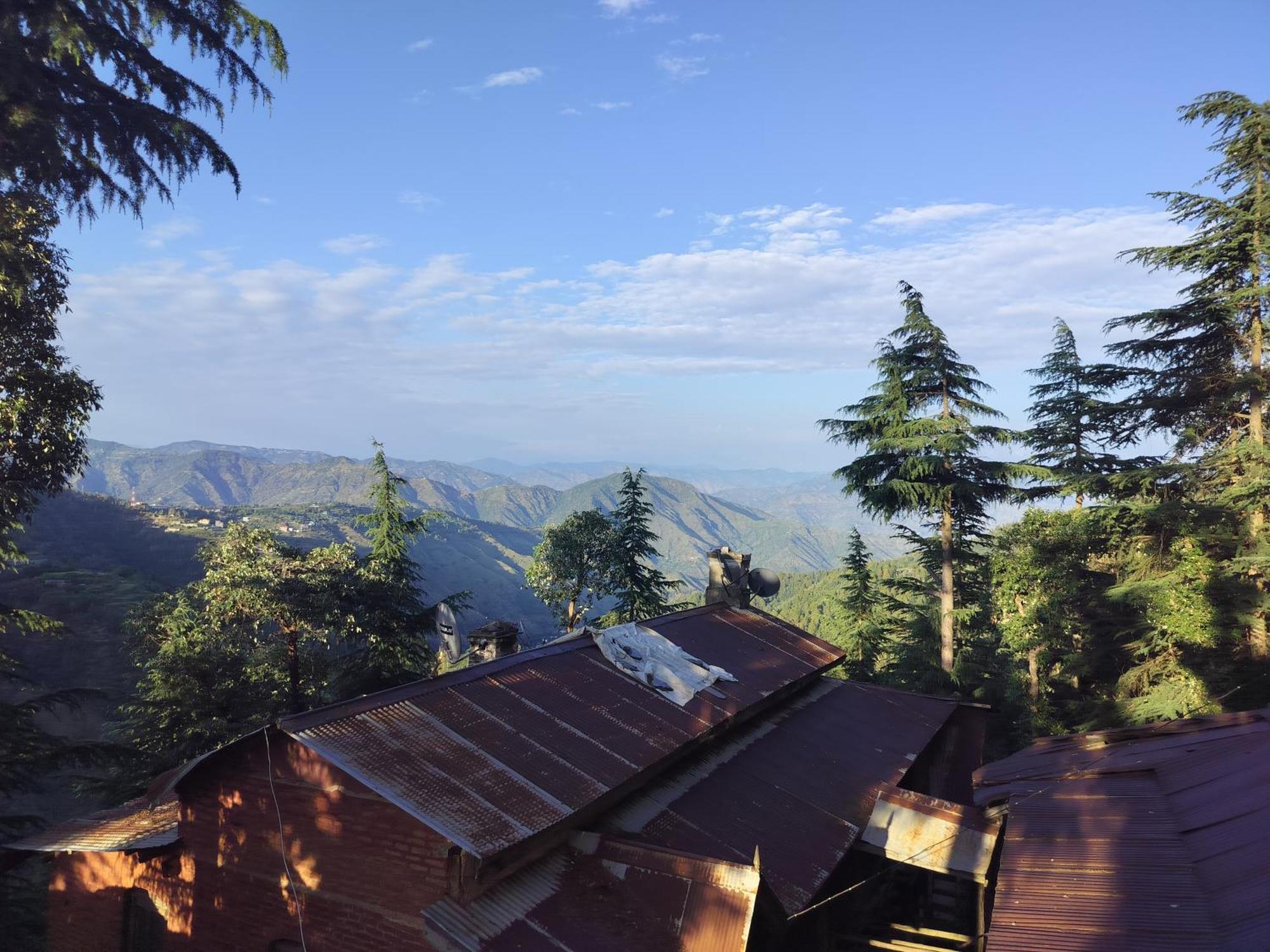 Tree Valley Homestay Chail Eksteriør bilde